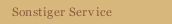 Sonstiger Service